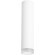 Накладной потолочный светильник Lightstar R49630 RULLO под лампу 1xGU10 50W