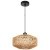 Подвесной светильник Arte Lamp BRUSHWOOD A7087SP-1BK