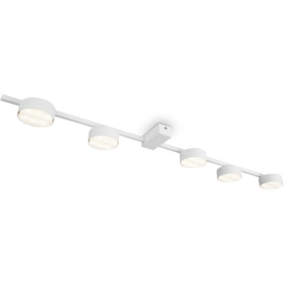 Потолочный светильник Freya FR5363CL-05W