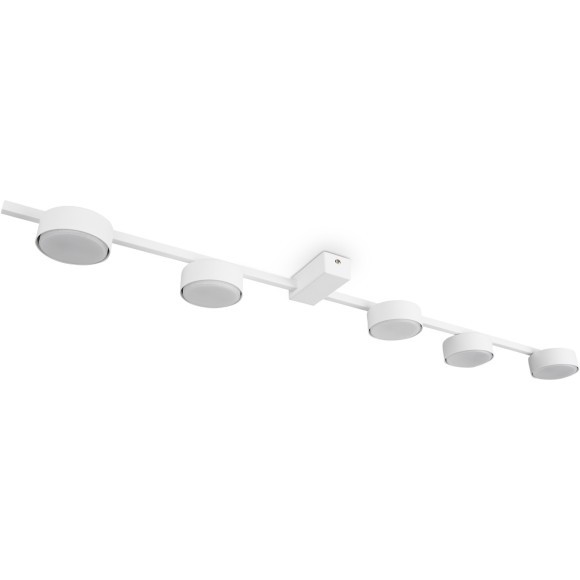 Потолочный светильник Freya FR5363CL-05W