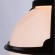 Уличный подвесной светильник Arte Lamp MONACO A1495SO-1BK
