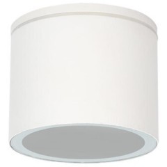 Уличный потолочный светильник Arte Lamp PIAUTOS A1913PF-1WH Уличный потолочный светильник Arte Lamp PIAUTOS A1913PF-1WH