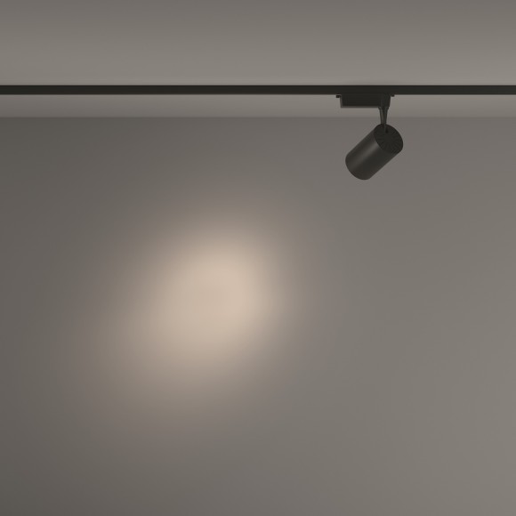 Однофазный двужильный светодиодный трековый светильник Maytoni Unity TR003-1-15W4K-S-B Vuoro 4000К 1600Лм CRI90+ 24° 15Вт Однофазный двужильный светодиодный трековый светильник Maytoni Unity TR003-1-15W4K-S-B Vuoro 4000К 1600Лм CRI90+ 24° 15Вт