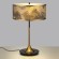 Настольная лампа ODEON LIGHT BERGI 5064/2T