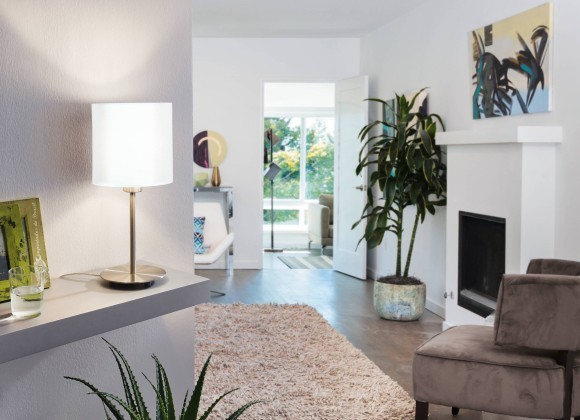 95725 Настольная лампа PASTERI