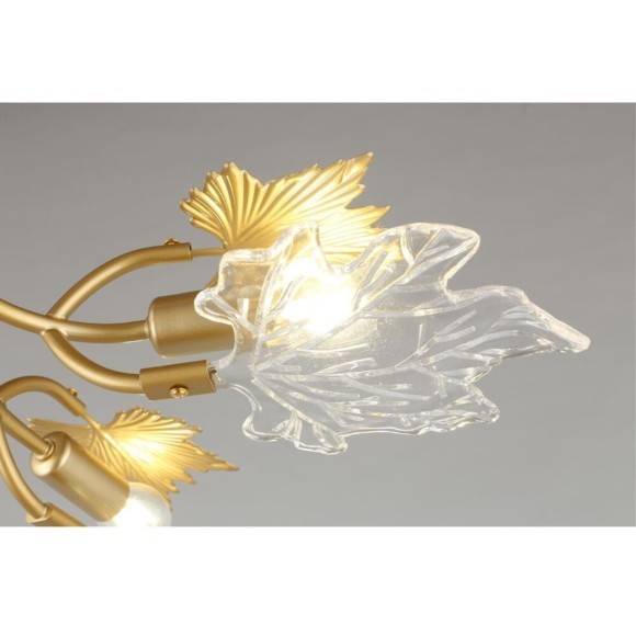 Потолочная люстра Vitereta OML-52707-06 Потолочная люстра Vitereta OML-52707-06