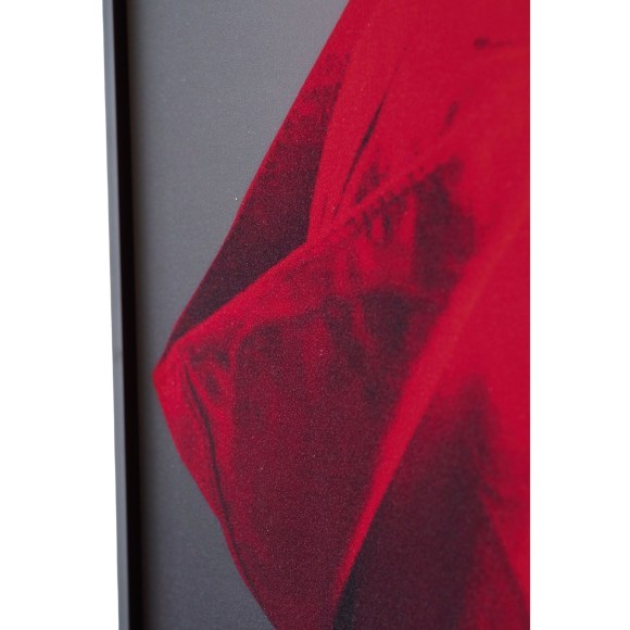 Декоративная картина FP Red Hat 50-70