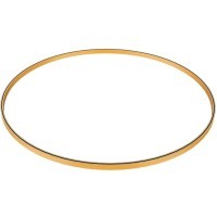 ST025.209.00 Шинопровод-кольцо 65см ST-Luce золотистый FARM