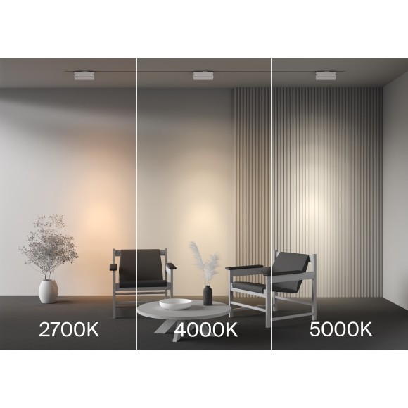 Трековый светильник Technical TR223-1-12WCCT-W-W