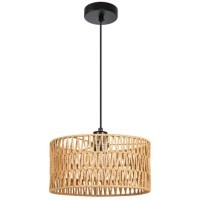 Подвесной светильник Arte Lamp BRUSHWOOD A7088SP-1BK