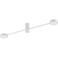 Потолочный светильник Freya FR5363CL-02W1