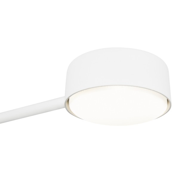 Потолочный светильник Freya FR5363CL-02W1 Потолочный светильник Freya FR5363CL-02W1