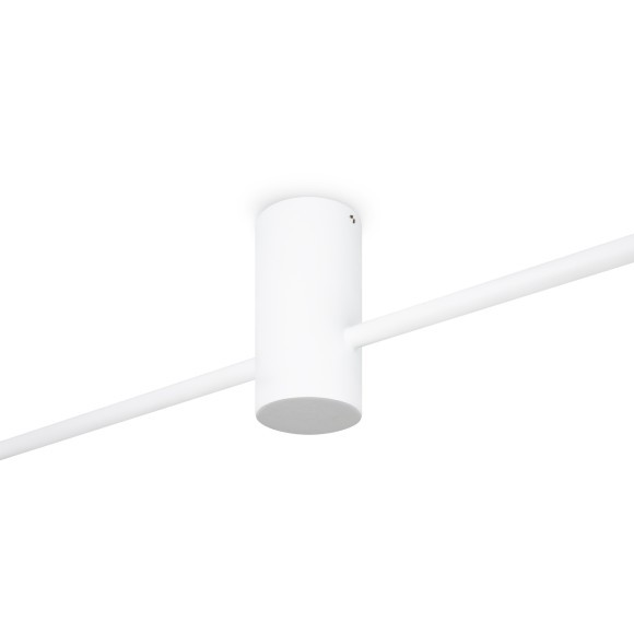 Потолочный светильник Freya FR5363CL-02W1 Потолочный светильник Freya FR5363CL-02W1