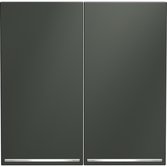 Клавиши для выключателя/переключателя двухклавишного с подсветкой, S70 (титан)