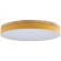 10001/36 Yellow Потолочный светильник LOFT IT Axel