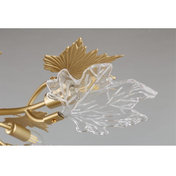 Потолочная люстра Vitereta OML-52707-09