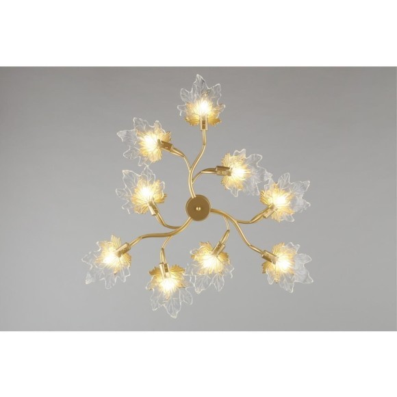 Потолочная люстра Vitereta OML-52707-09