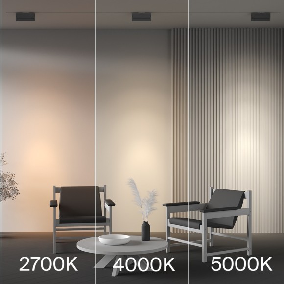 Трековый светильник Maytoni PointsTR224-1-12WCCT-M-B