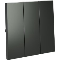 Клавиши для выключателя/переключателя трехклавишного, S70 (титан)