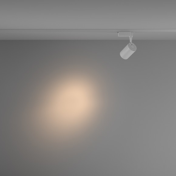 Однофазный двужильный светодиодный трековый светильник Maytoni Unity TR003-1-10W3K-S-W Vuoro 3000К 850Лм CRI90+ 24° 10Вт Однофазный двужильный светодиодный трековый светильник Maytoni Unity TR003-1-10W3K-S-W Vuoro 3000К 850Лм CRI90+ 24° 10Вт