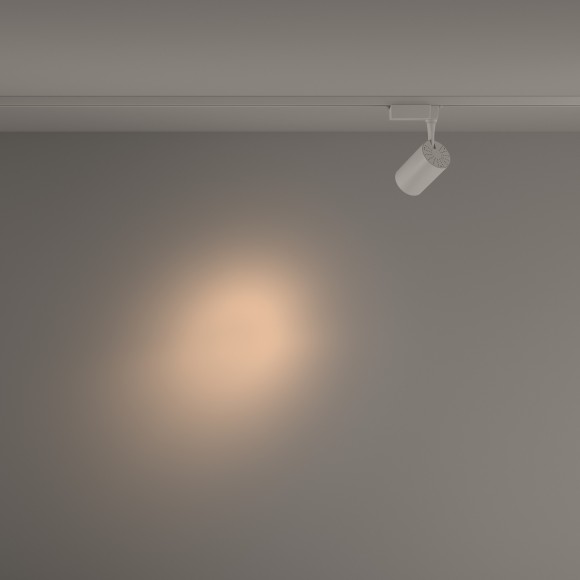 Однофазный двужильный светодиодный трековый светильник Maytoni Unity TR003-1-10W3K-S-W Vuoro 3000К 850Лм CRI90+ 24° 10Вт Однофазный двужильный светодиодный трековый светильник Maytoni Unity TR003-1-10W3K-S-W Vuoro 3000К 850Лм CRI90+ 24° 10Вт