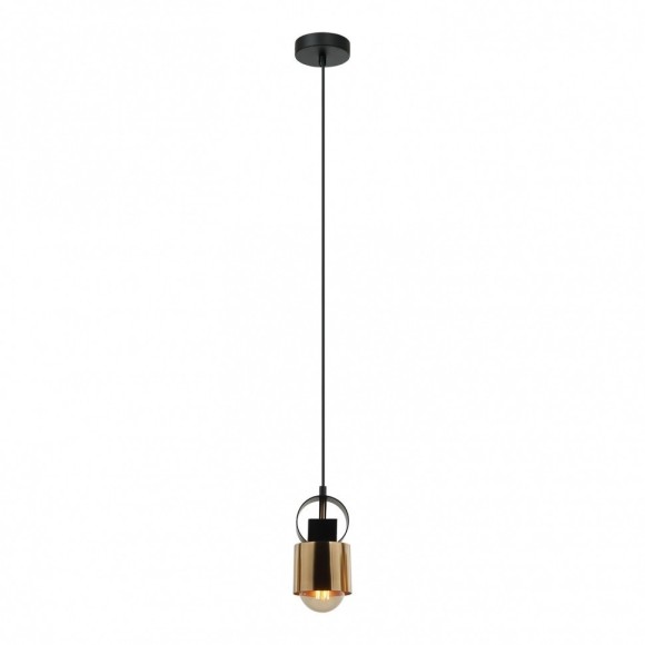 Подвесной светильник с 1 плафоном Lussole LSP-8568 Gilpin IP21 под лампу 1xE27 40W