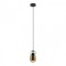 Подвесной светильник с 1 плафоном Lussole LSP-8568 Gilpin IP21 под лампу 1xE27 40W