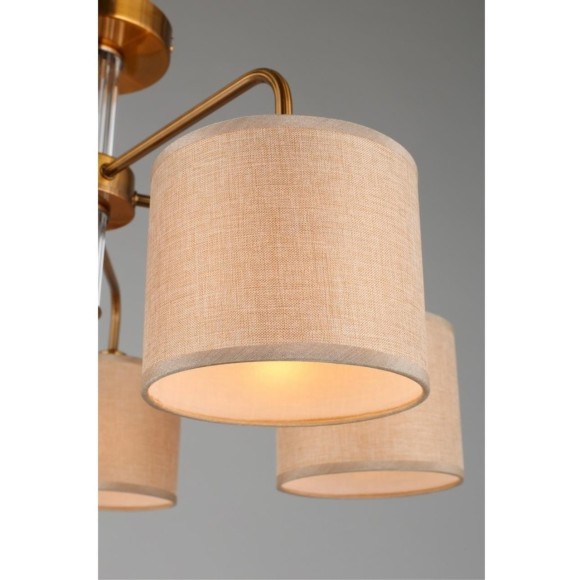 Потолочная люстра Barumini OML-56907-05