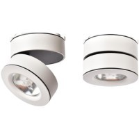 Накладной потолочный светильник Arte Lamp A2508PL-1WH VELA светодиодный LED 12W