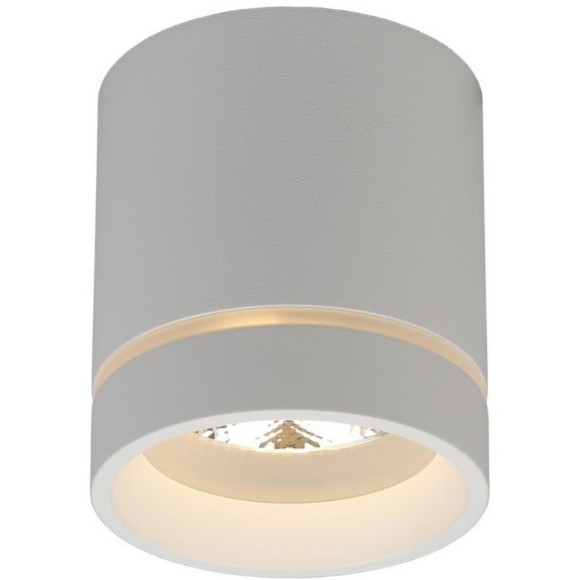 Потолочный спот APL.0043.09.05