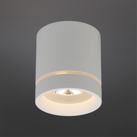 Потолочный спот APL.0043.09.05