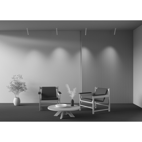 Встраиваемый светильник Technical C140TRS-L300-7W4K-W Встраиваемый светильник Technical C140TRS-L300-7W4K-W