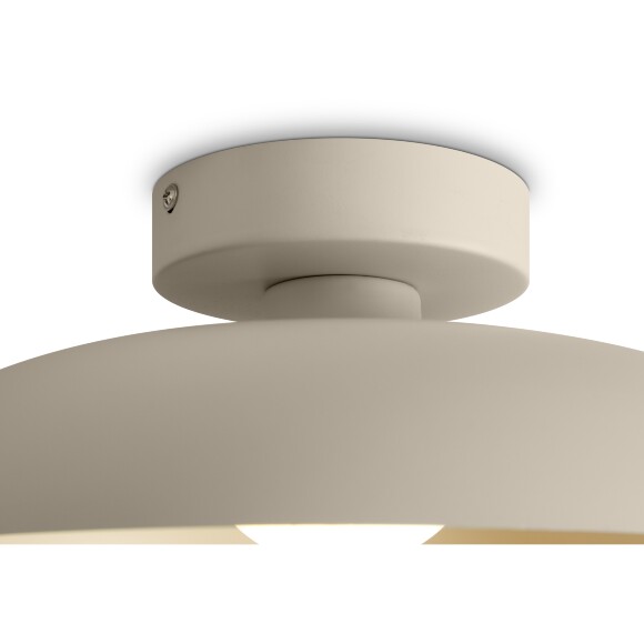 Потолочный светильник Freya FR5602CL-L10W