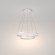Подвесной светильник кольцом Maytoni MOD058PL-L55W4K Rim светодиодный 2xLED 61W