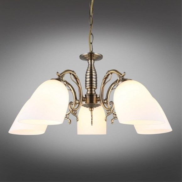 Люстра подвесная OML-56407-05