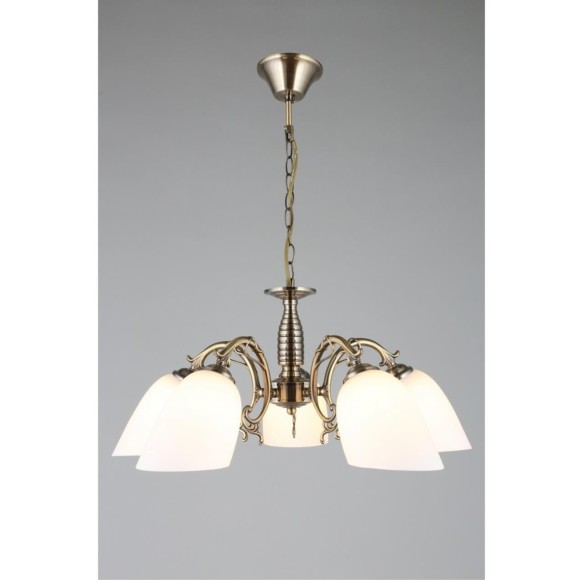 Люстра подвесная OML-56407-05