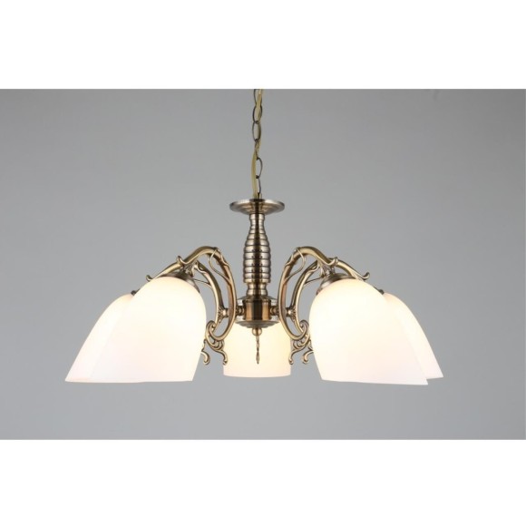 Люстра подвесная OML-56407-05