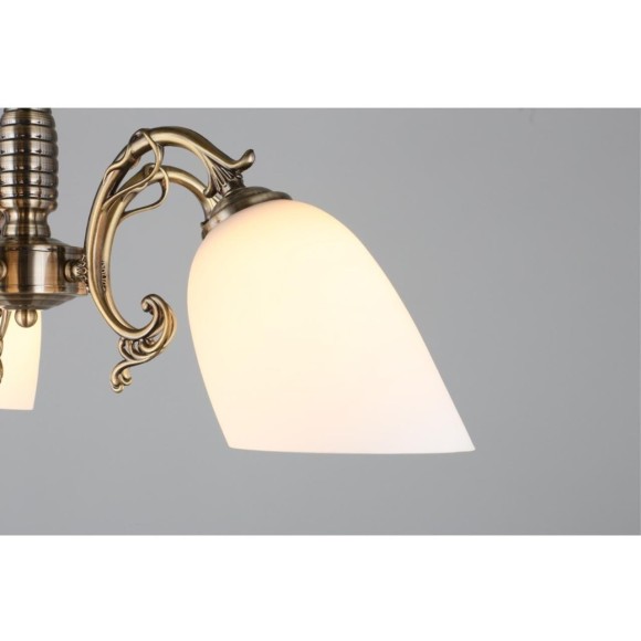 Люстра подвесная OML-56407-05