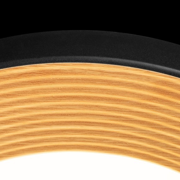 10255/500 Black Потолочный светильник LOFT IT Folk