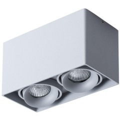Точечный накладной светильник Arte Lamp PICTOR A5654PL-2GY Точечный накладной светильник Arte Lamp PICTOR A5654PL-2GY