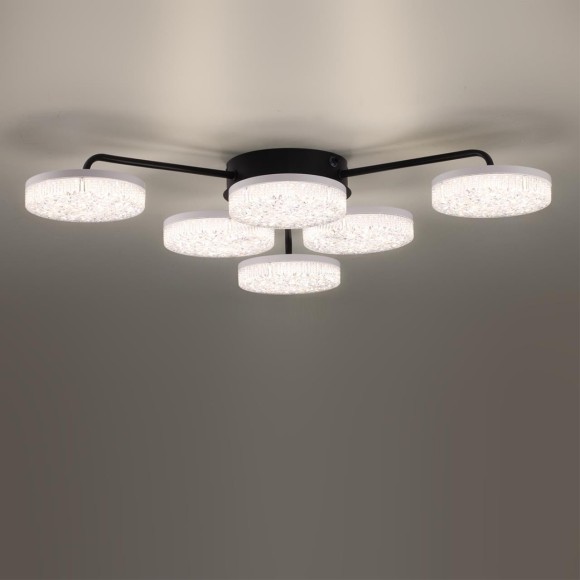 Люстра потолочная с пультом ДУ LED 85W 3000-6000К Lumion DIDANA 8236/6CL Люстра потолочная с пультом ДУ LED 85W 3000-6000К Lumion DIDANA 8236/6CL