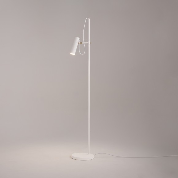 Торшер с выключателем Bansky MOD129FL-01W