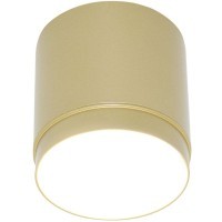 Потолочный светильник Technical C088CL-GX53-MG