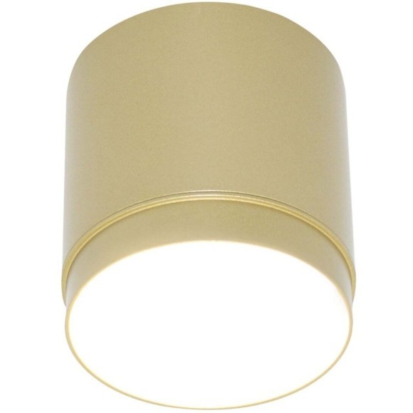 Потолочный светильник Technical C088CL-GX53-MG