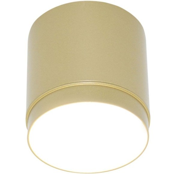 Потолочный светильник Technical C088CL-GX53-MG