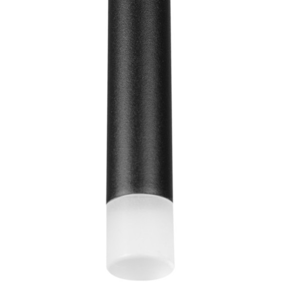 10358/830 Подвесной светильник LOFT IT Reed