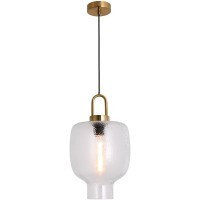 Подвесной светильник Lussole LSP-8845