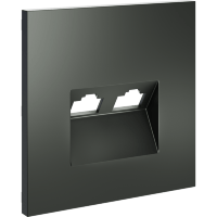 Накладка для розетки компьютерной двойной RJ45+RJ45 кат.6, S70 (титан)