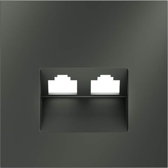 Накладка для розетки компьютерной двойной RJ45+RJ45 кат.6, S70 (титан)