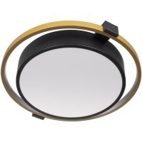 10169 Потолочный светильник LOFT IT Mike